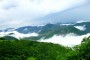 Golestan National Park
