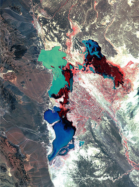 445px-Hamoun_Oasis_wetlands_1976_satelite