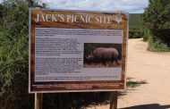 جکس پیک نیک سایت JACK'S Picnic Site