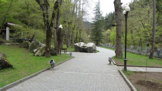 سنترال پارک Borjomi Central Park