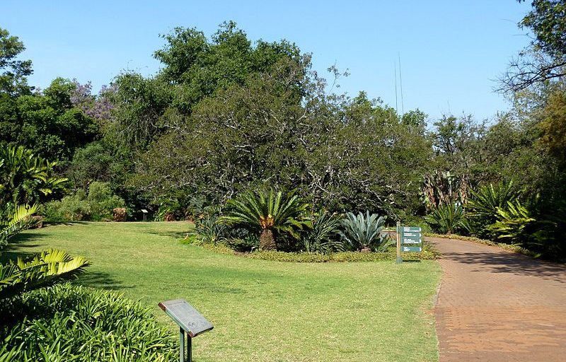 باغ ملی گیاه شناسی پرتوریا Pretoria National Botanical Garden