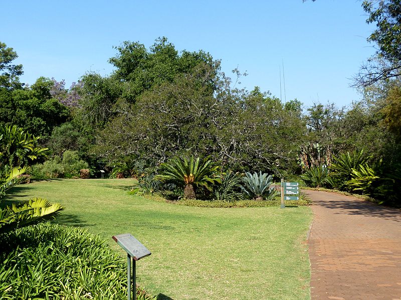 باغ ملی گیاه شناسی پرتوریا Pretoria National Botanical Garden