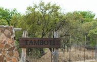 تامبوتی Tamboti Tented Camp