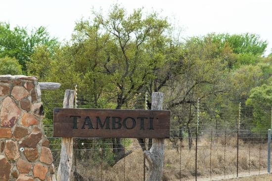 تامبوتی Tamboti Tented Camp