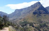 پارک ملی کوهستان تیبل Table Mountain National Park
