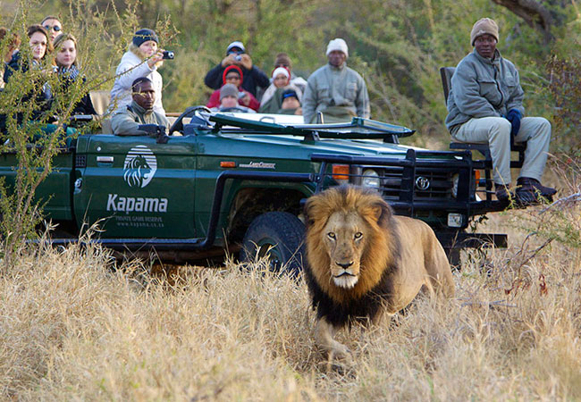کاپاما Kapama Game Reserve