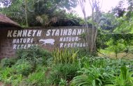 کنت استینبانک Kenneth Stainbank Nature Reserve